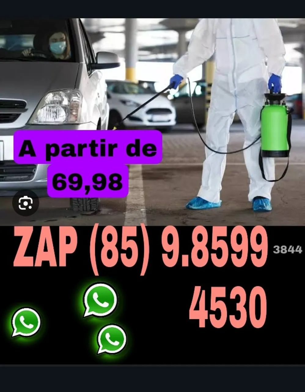 Dedetização 64308896545794120