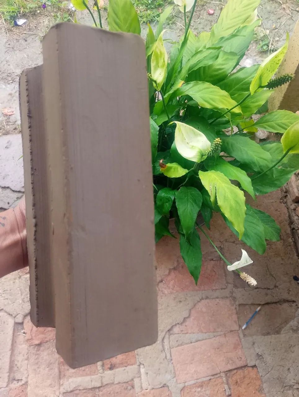 ? Tijolo64840790508290121