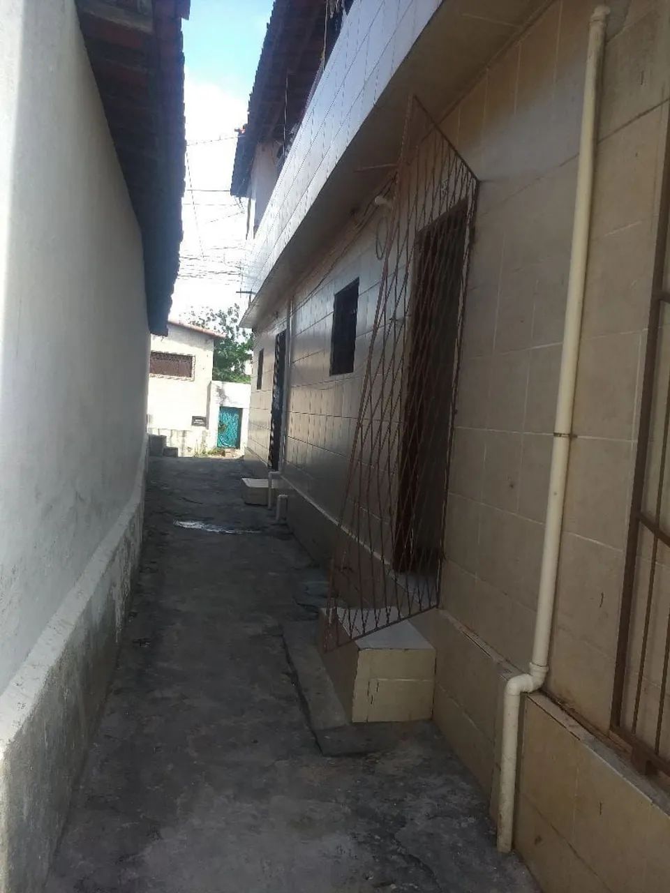 Foto - Natal - Alecrim