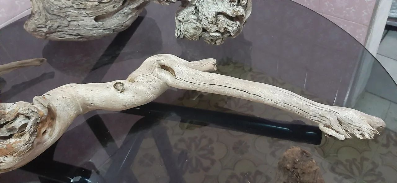 Raiz para hardscape - Foto 3