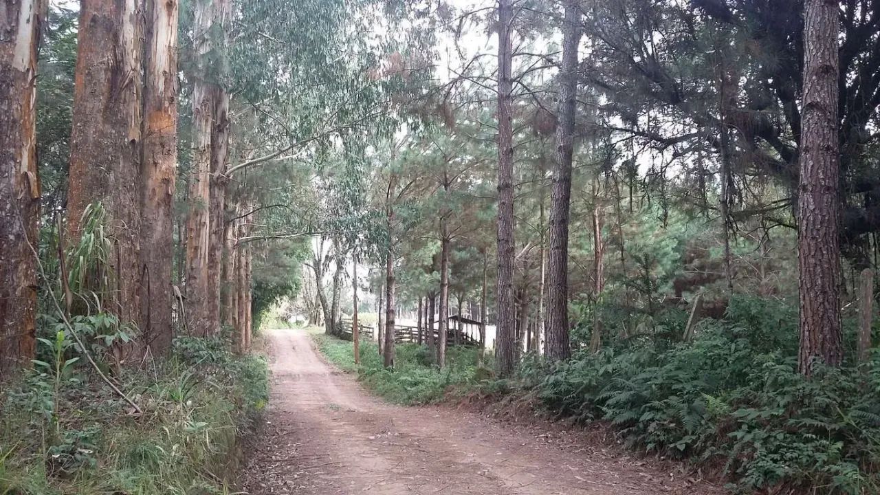 Chácara em Rua Boi Carreiro - Itaqui de Cima - Campo Largo/PR - Foto 11