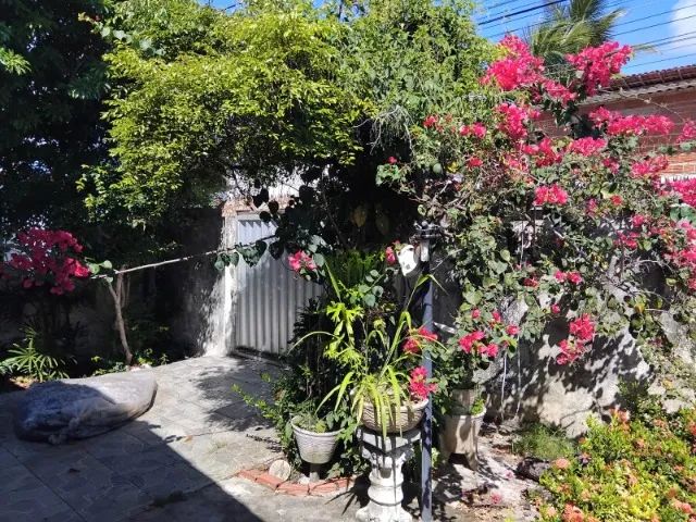 Foto - Natal - Ponta Negra