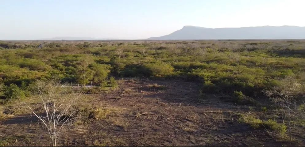 Sítio com 41.2 hectares Escriturado! Ótima oportunidade de investimento perto da cidade! - Foto 2