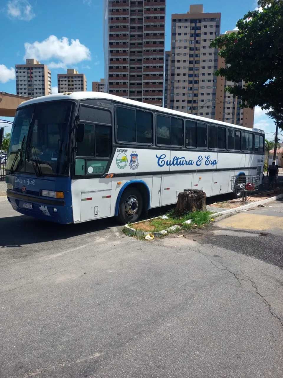 Ônibus ano de 1994