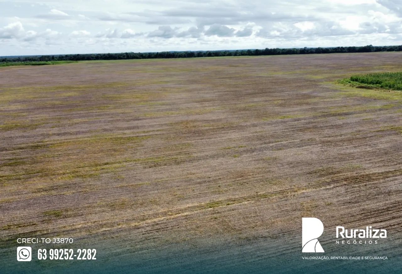 Fazenda em exploração agrícola, Vale do Araguaia - TO - Foto 5