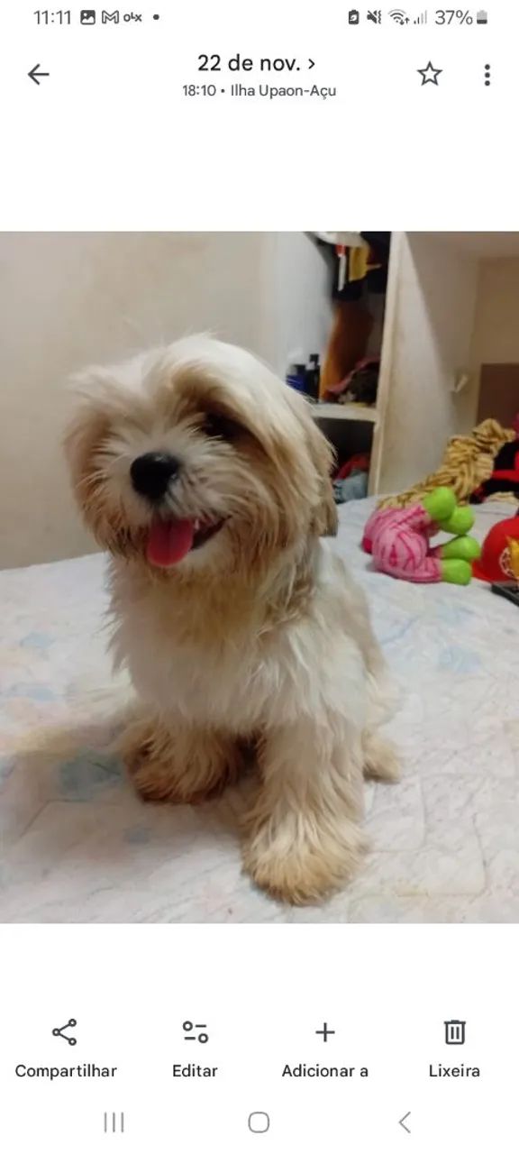 Procuro uma namorada  - Foto 3