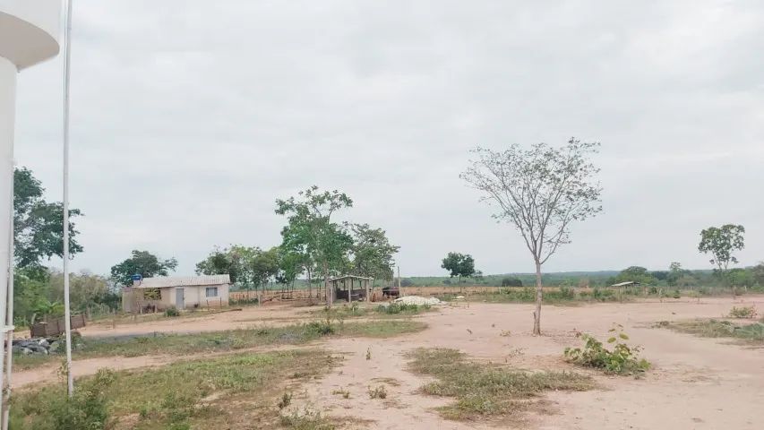 Roça do Brejo/Pompéu MG -  Fazenda de 80 hc  - Foto 4