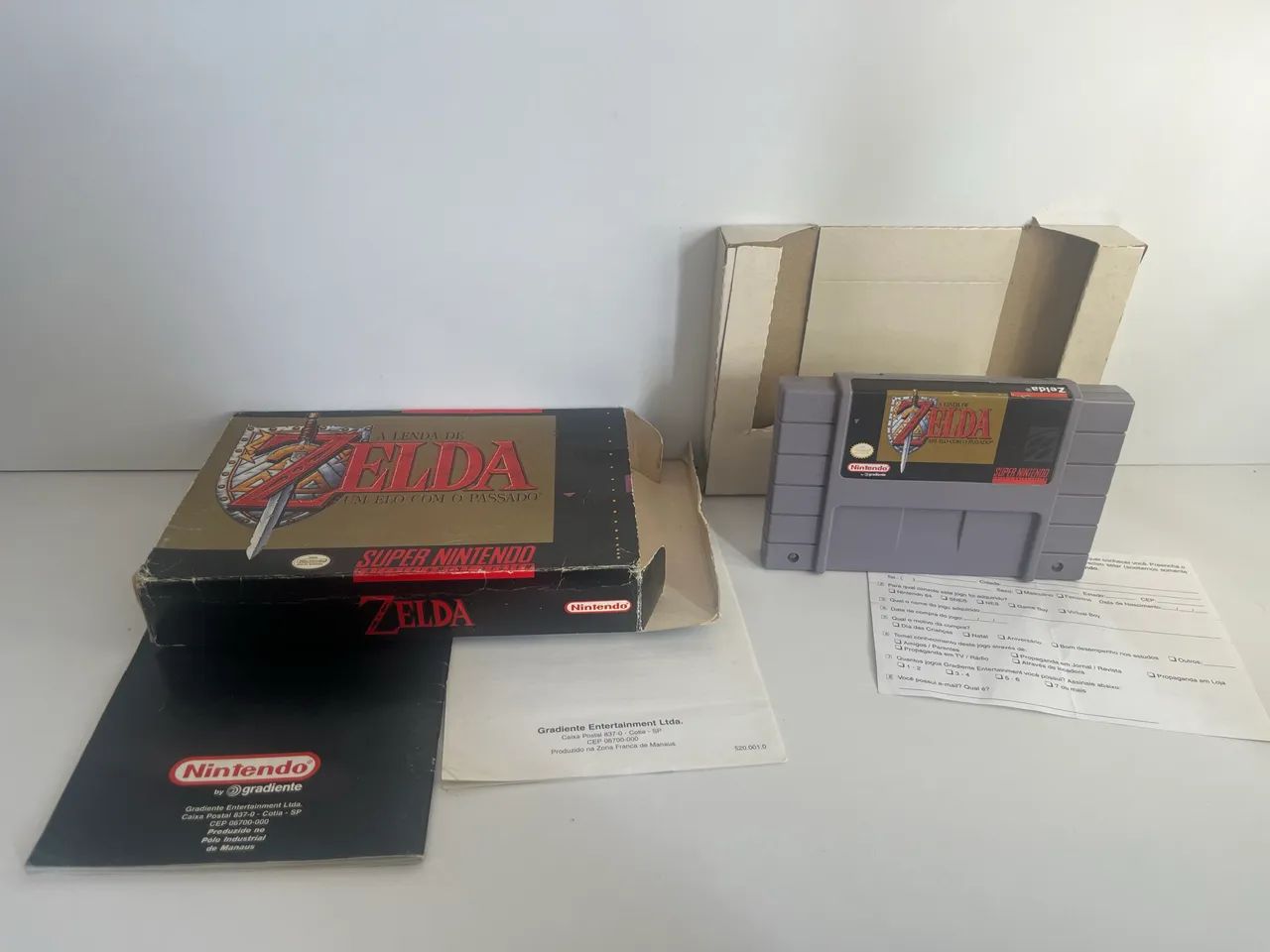 Zelda - Um Elo Com o Passado - Foto 4