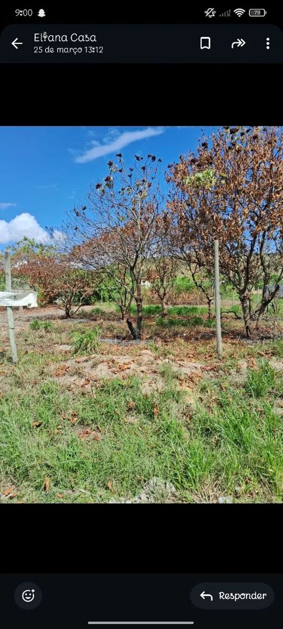 Terreno ( oportunidade ) - Foto 4