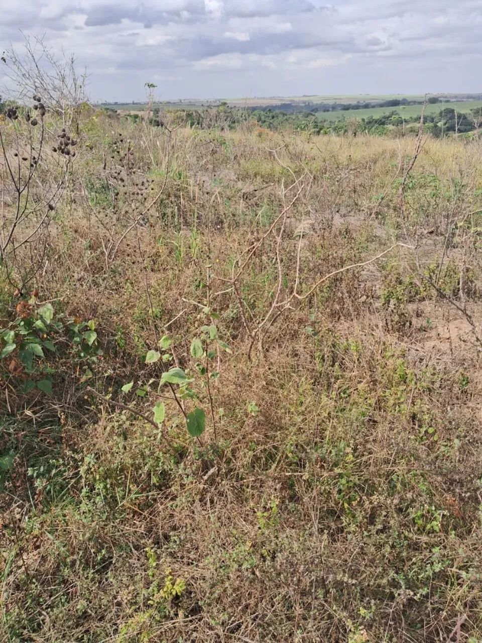 Chácara 1.000 metros em Limeira - Foto 3