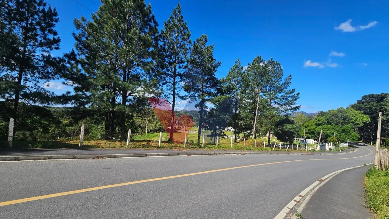 Chácara 58.440m à Venda em São José dos Pinhais | Casa, Salão de Festas ...