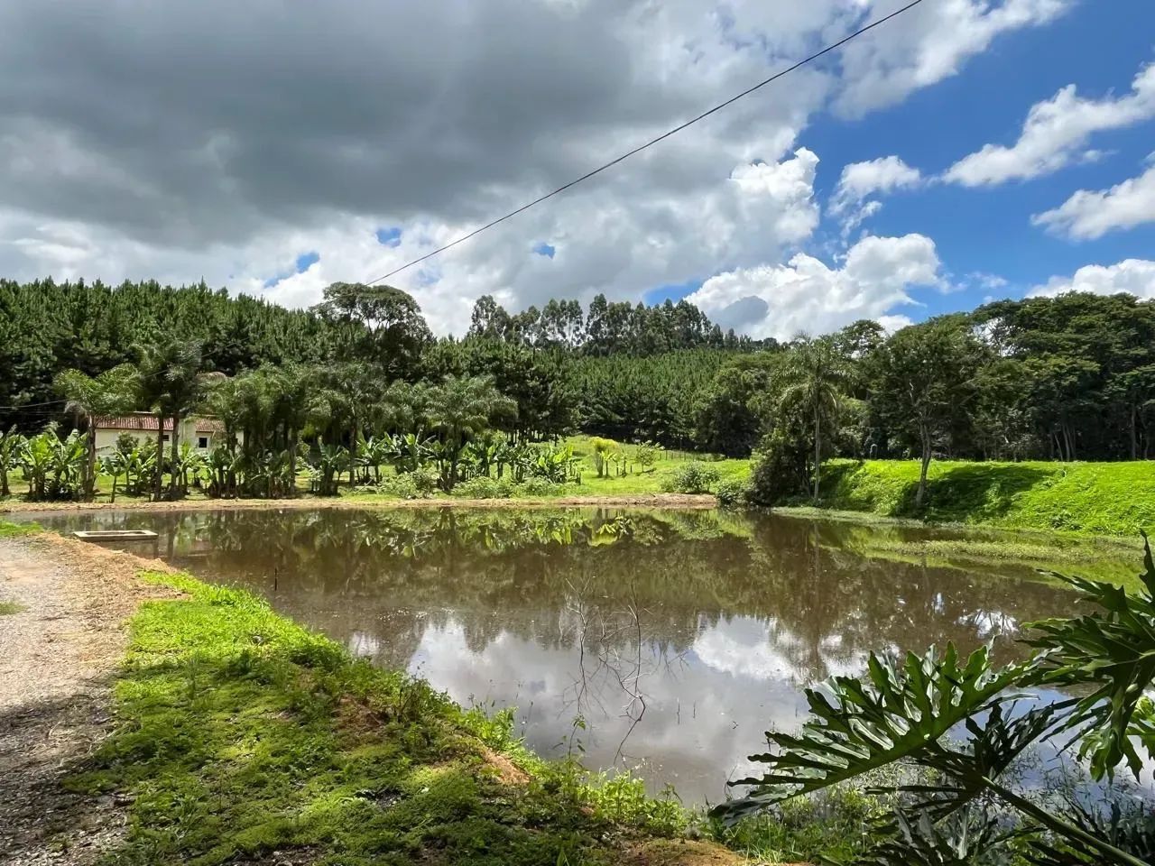 FAZENDA SOL NASCENTE - Foto 3