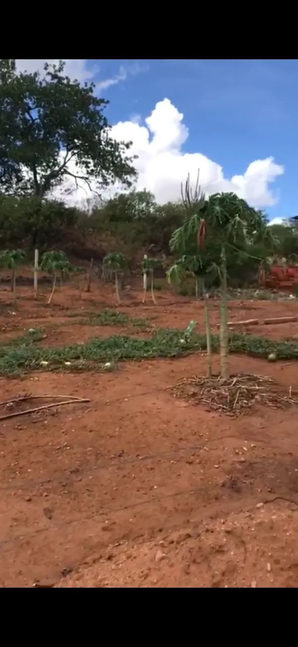 Terreno 272 metros total Centro em Canindé de São Francisco  - Foto 4