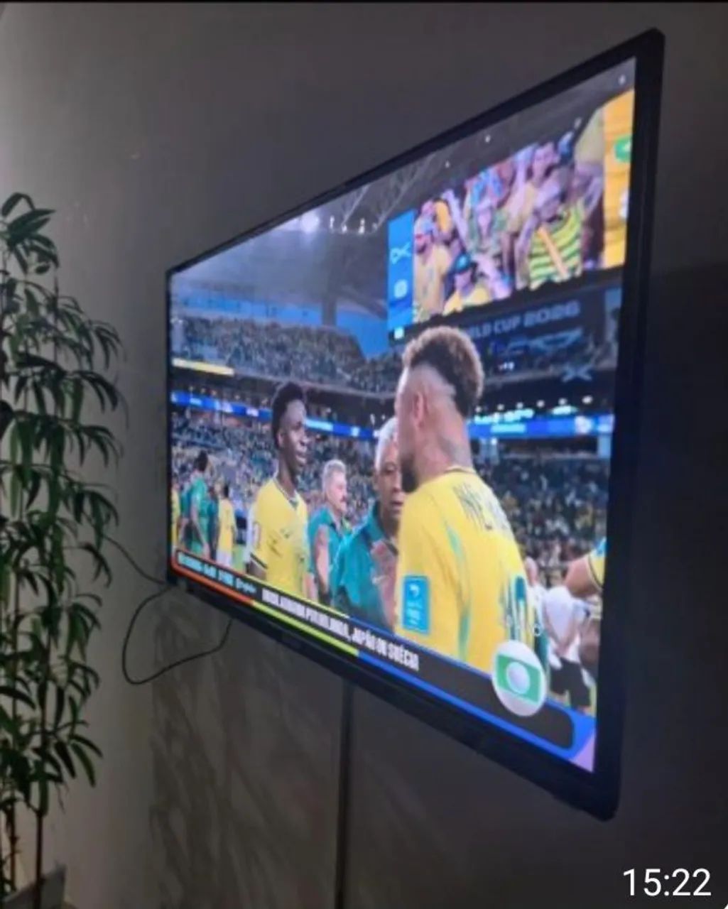 Televisao