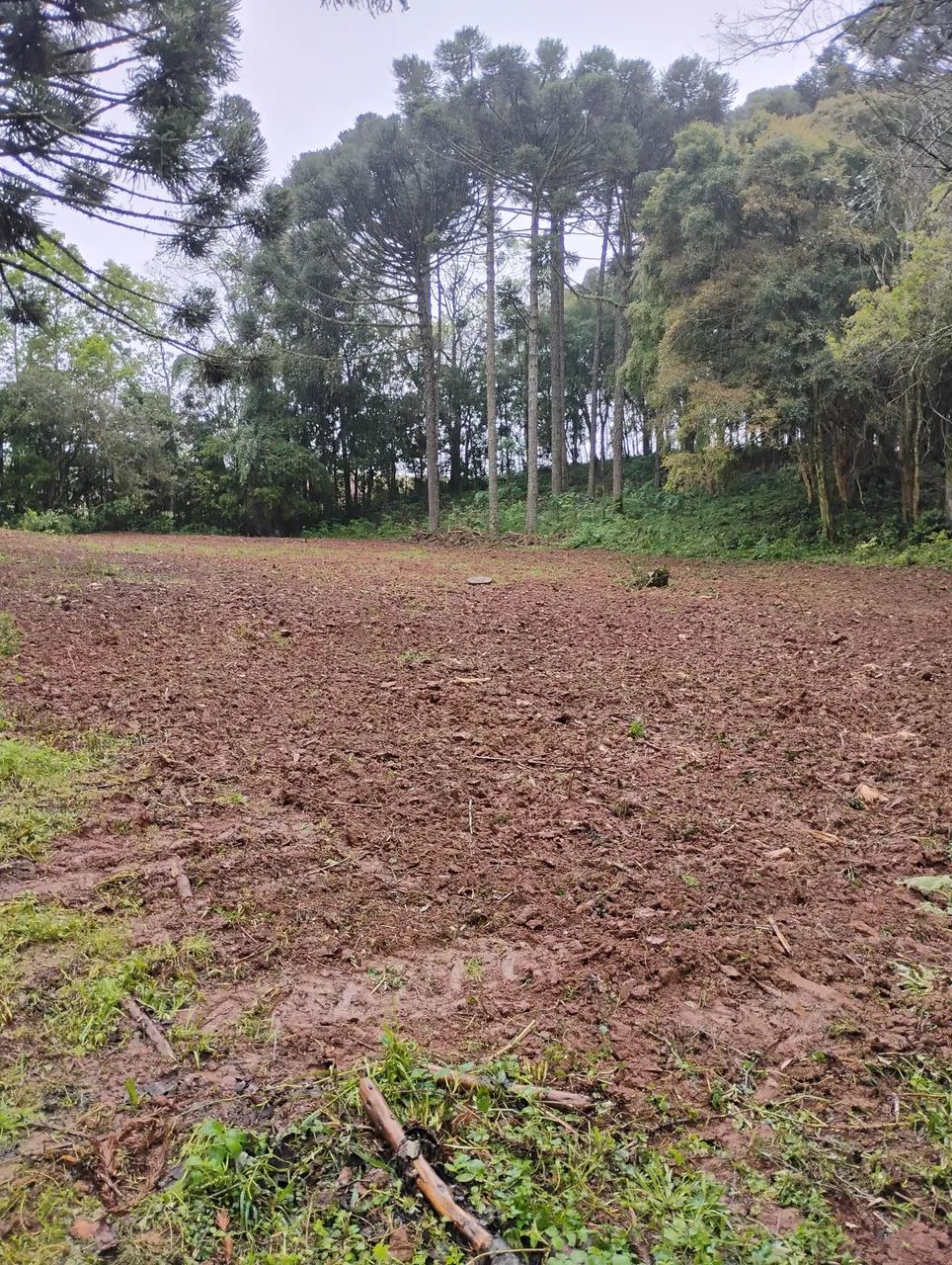 Chácara em contenda .próximo Araucaria  - Foto 2