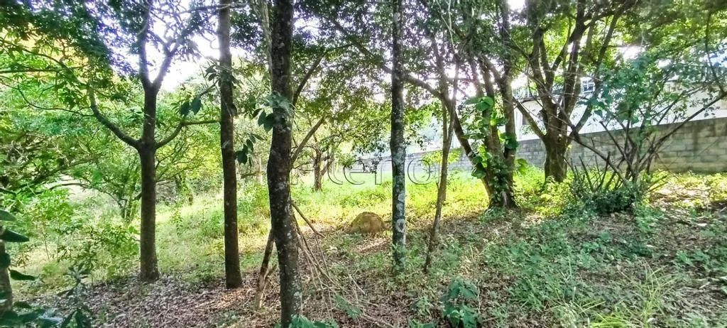 Terreno à venda em Valinhos, Chácaras São Bento, com 2000 m² - Foto 3