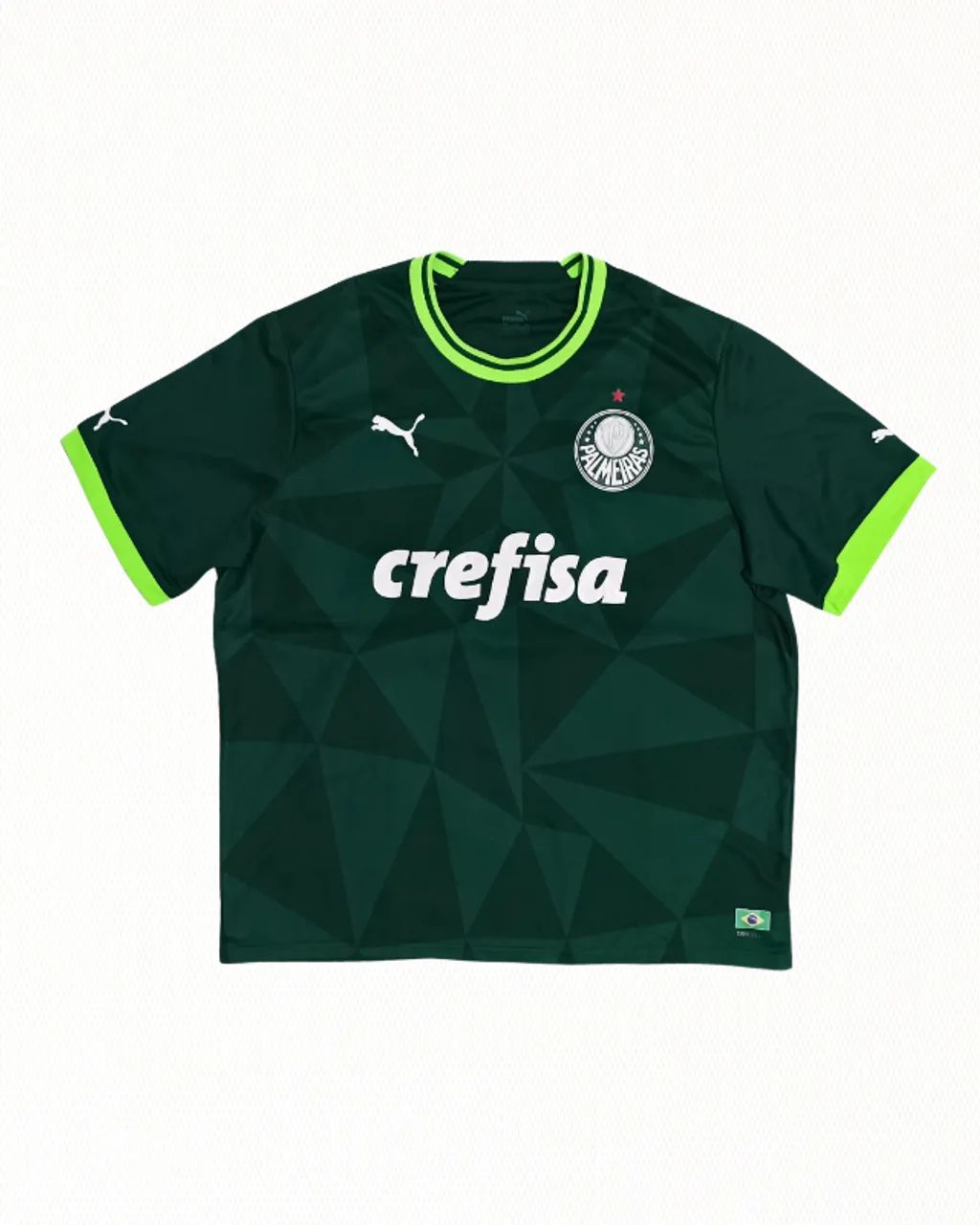 Camisa Palmeiras I 2023/24 #9 Endrick