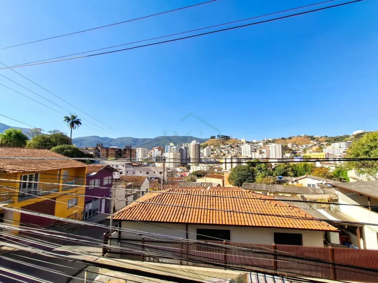 8294- José Piffer - Foto 4