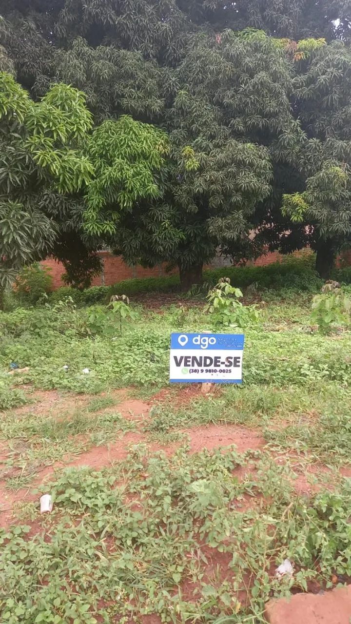 LOTE 250m² - Foto 3