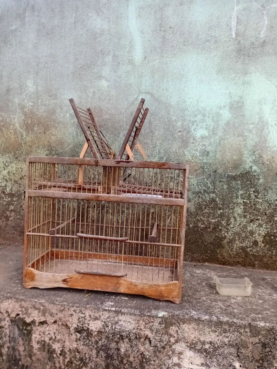 Gaiola  - Foto 2