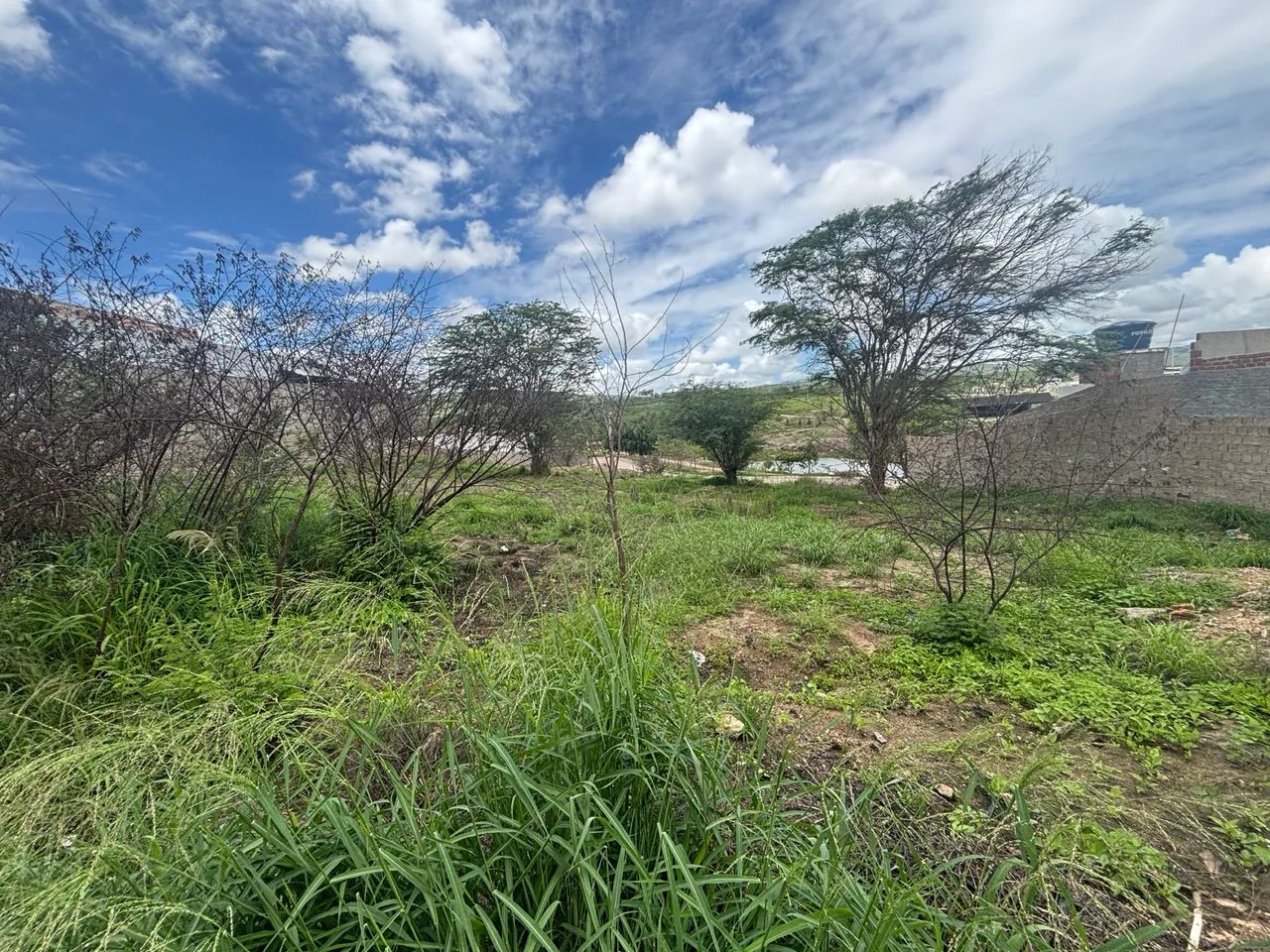((CM)) Promoção em Bezerros, Lote C/295m2 Próx ao Centro - Foto 3