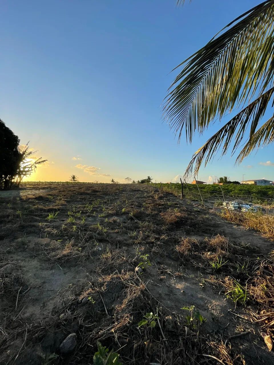 TERRENO NO POVOADO TOMBO/ SALGADO 17 TAREFAS  - Foto 5