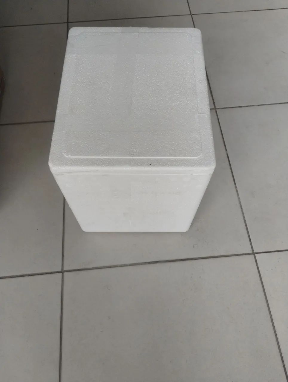 Caixa de isopor para BAG 20,00 - Foto 2