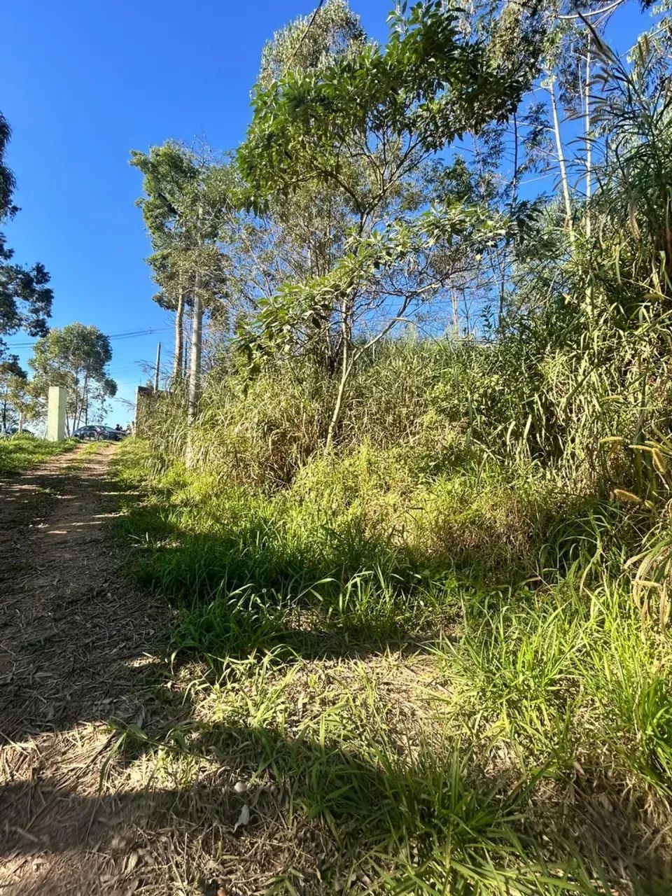 Terrenos Próximos ao Centro de Ibiúna  Aproveite! - Foto 3