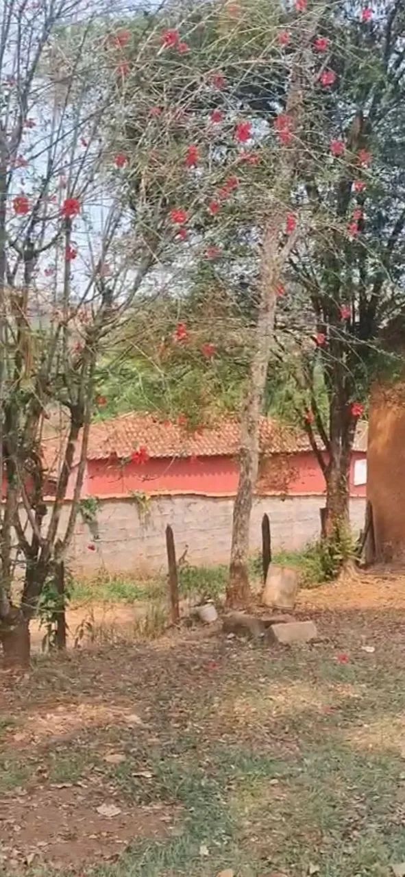 Chácara com 3.900m² em Piranguinho - MG - Foto 3