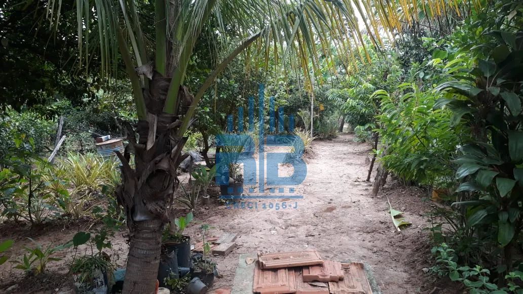 CHÁCARA PARA VENDA - Foto 5