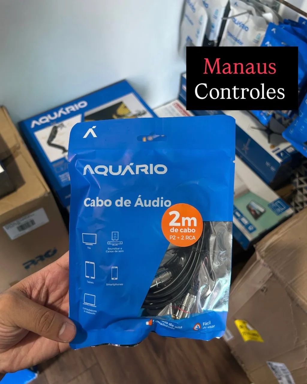 Cabo de Áudio P2 Auxiliar para RCA - 2 Metros 