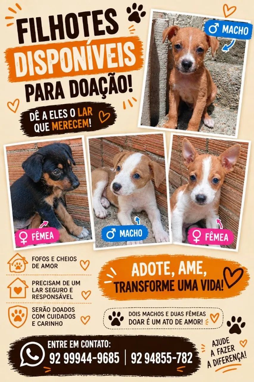Adoção responsável