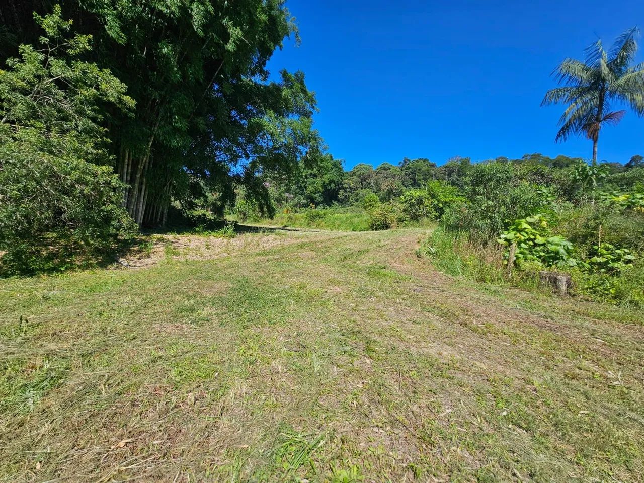 Sitio 20mil m2 com casa lago e 2 galpões em Vila Moraes Mogi - Foto 3