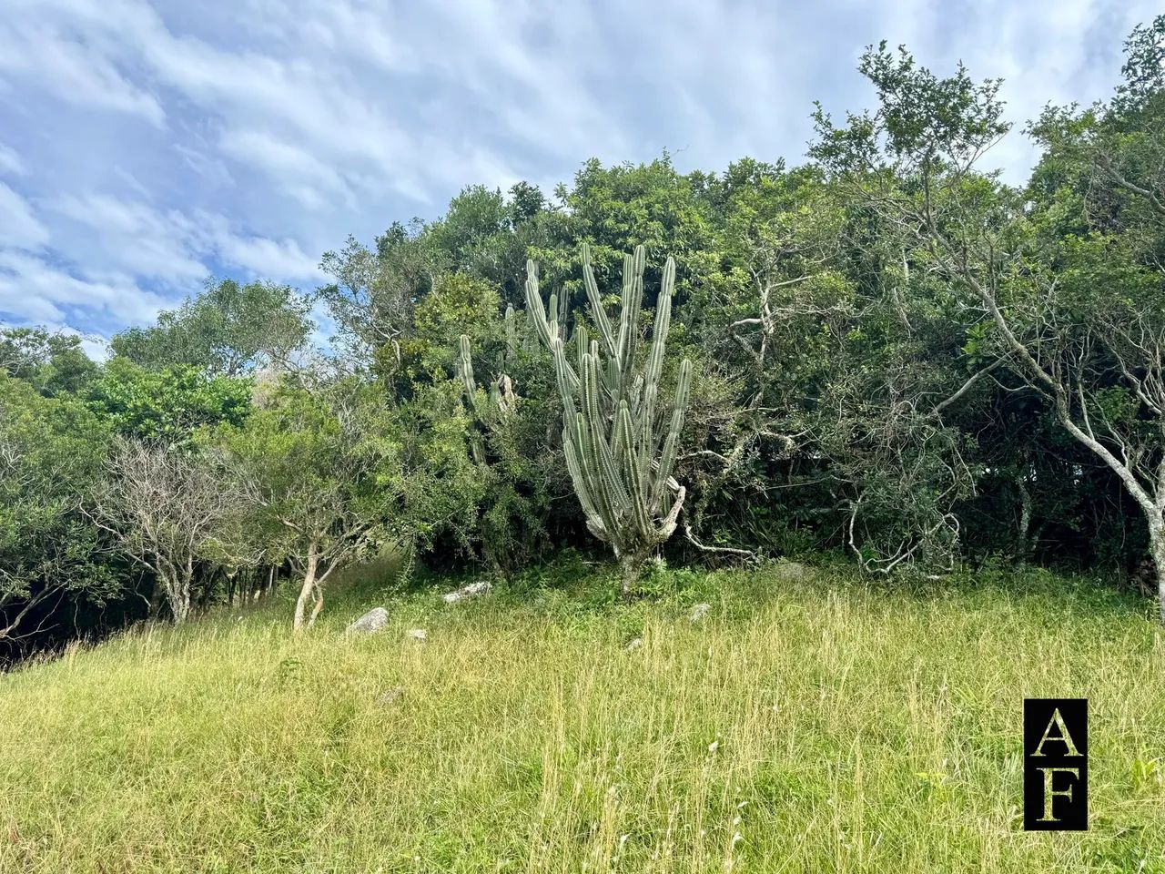 Terreno em Garopaba no Morro da Silveira - Foto 3