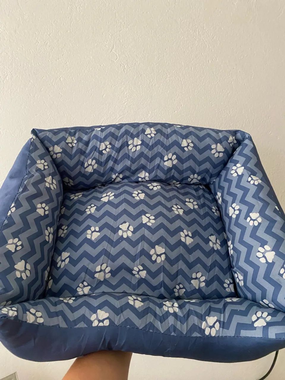 Caminha para pet