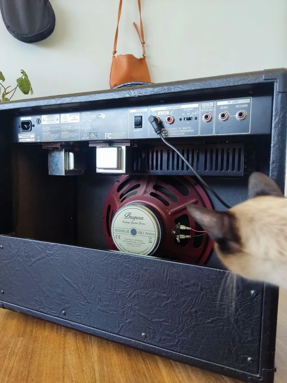 Amplificador Bugera V22 - Foto 5