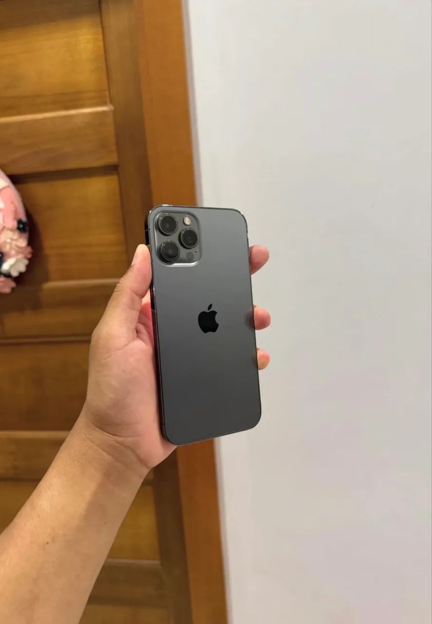 iPhone 12 Pro Max 