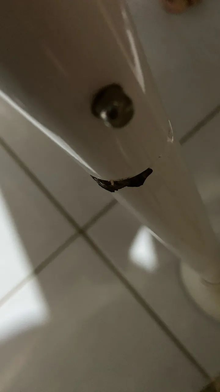 Cadeira de Alimentação  - Foto 4