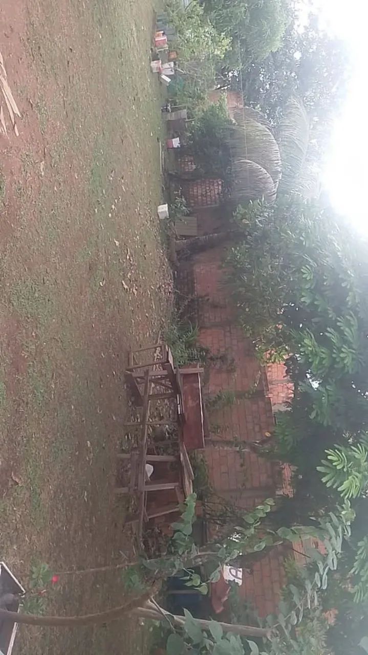 Foto - Porto Velho - Lagoa