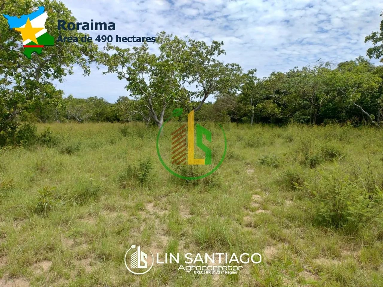Vendo Fazenda de 619 ha e 490 ha