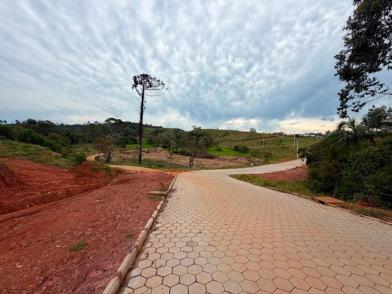 Oportunidade de investimento em canelinha