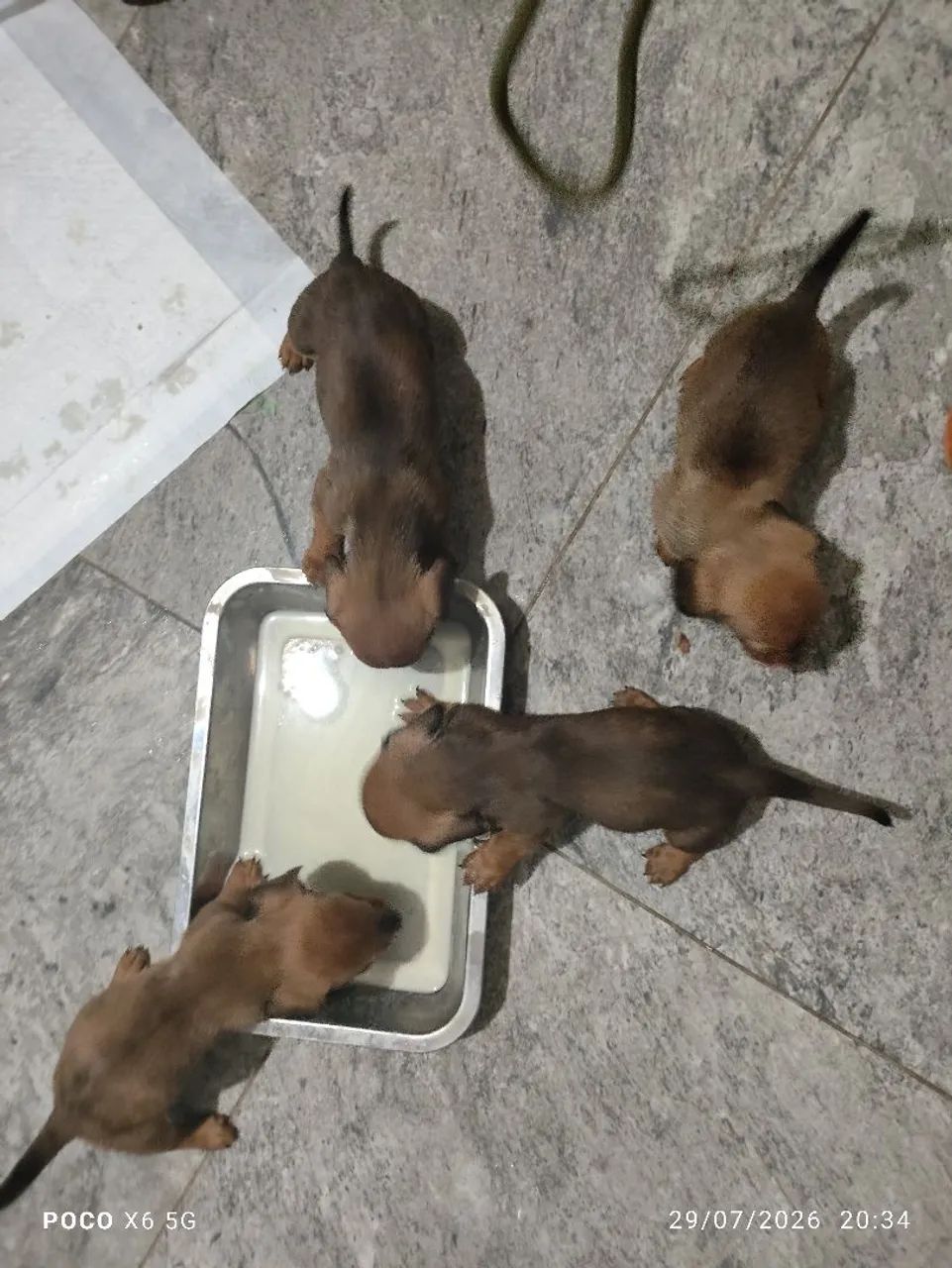 Vendo  - Foto 2