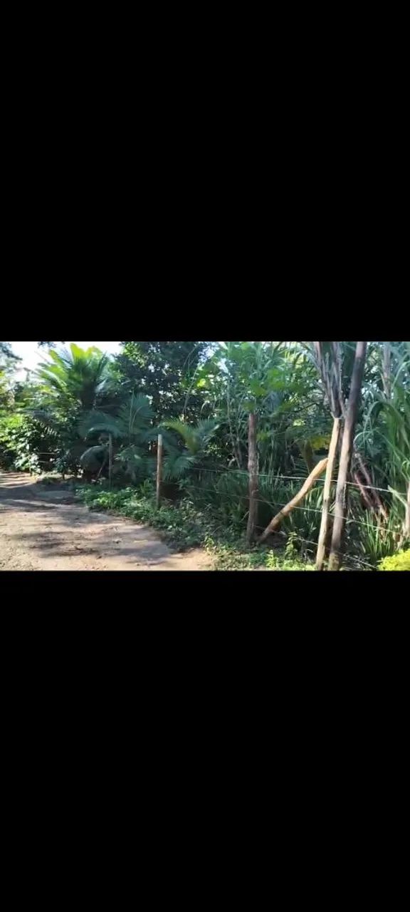 ? SÍTIO À VENDA - TRANQUILIDADE, NATUREZA E QUALIDADE DE VIDA! - Foto 5