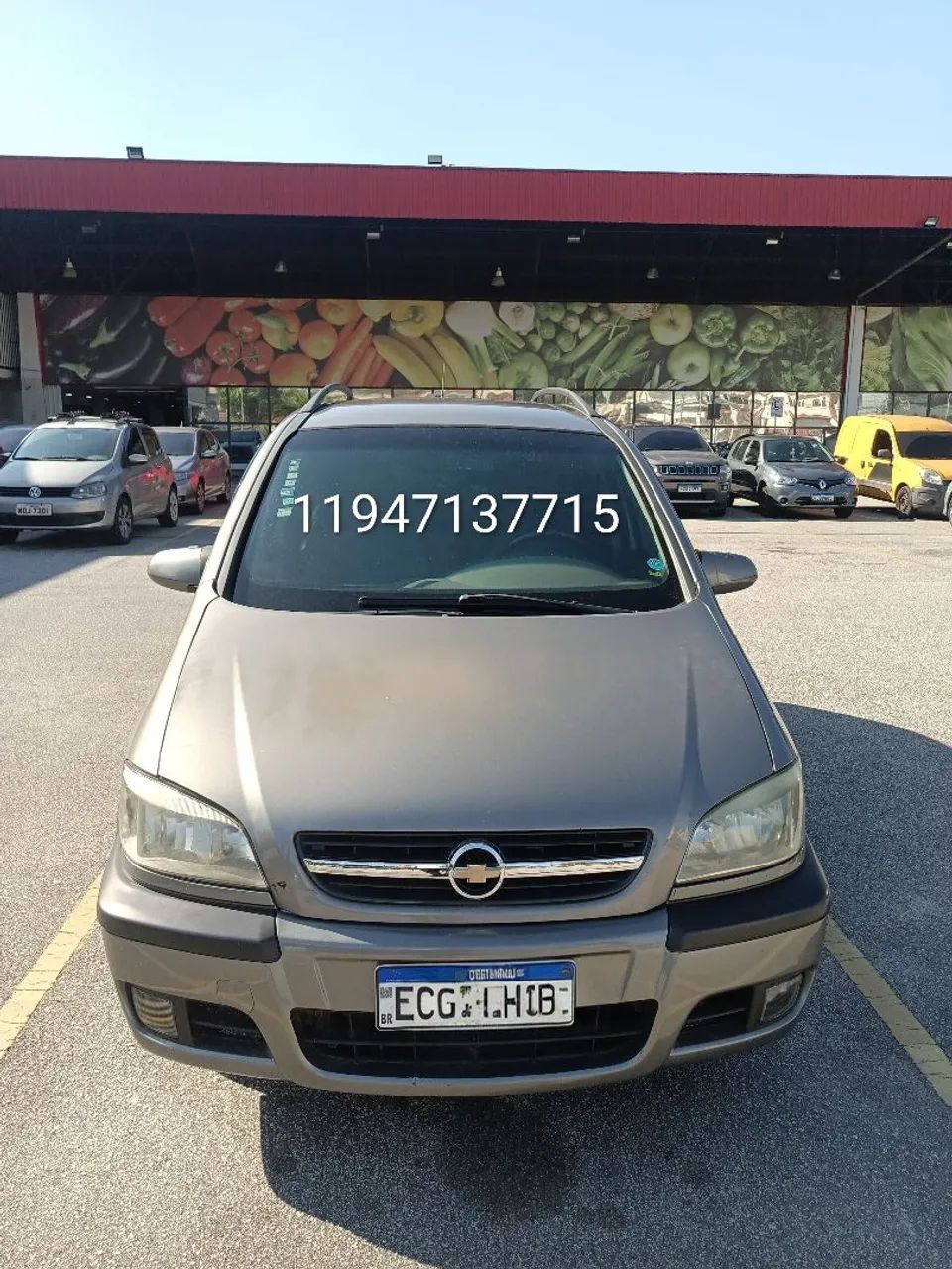 Chevrolet Zafira Elite 2.0 MPFI Flexpower 8V AUT 2005