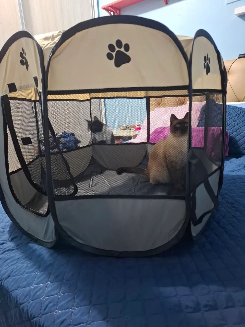 Cercadinho para pets - Foto 3