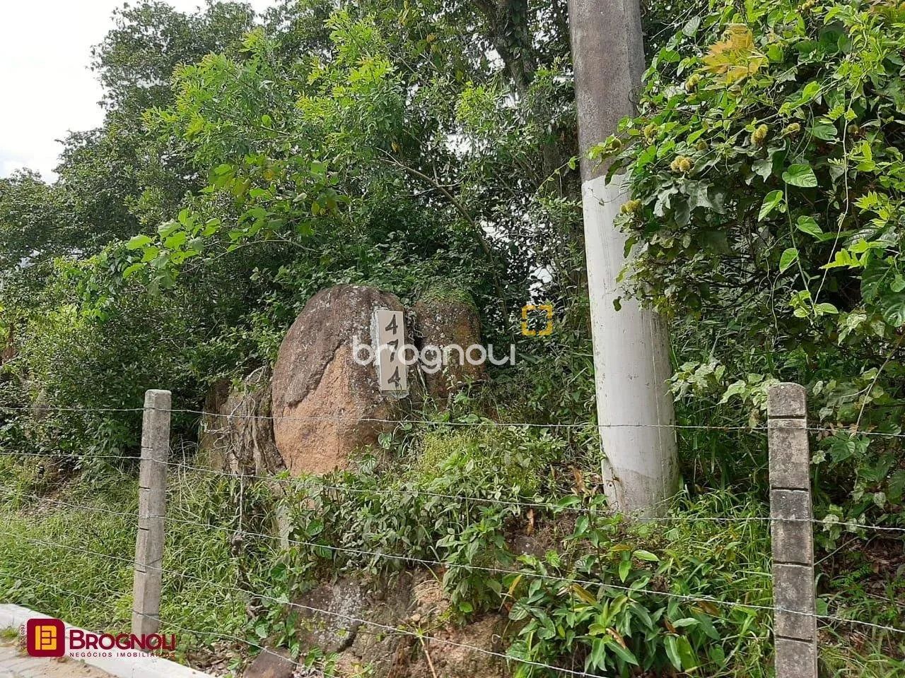 Terreno com 4.990m2, na Vargem Pequena - Foto 4