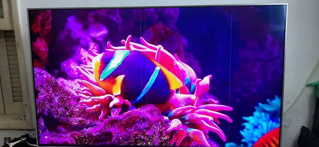 smart lg 4k de 55pol. completa e funcionando tudo perfeitamente 