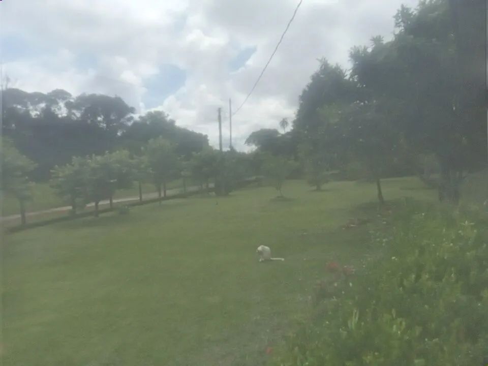 Chacara a venda  - Foto 2