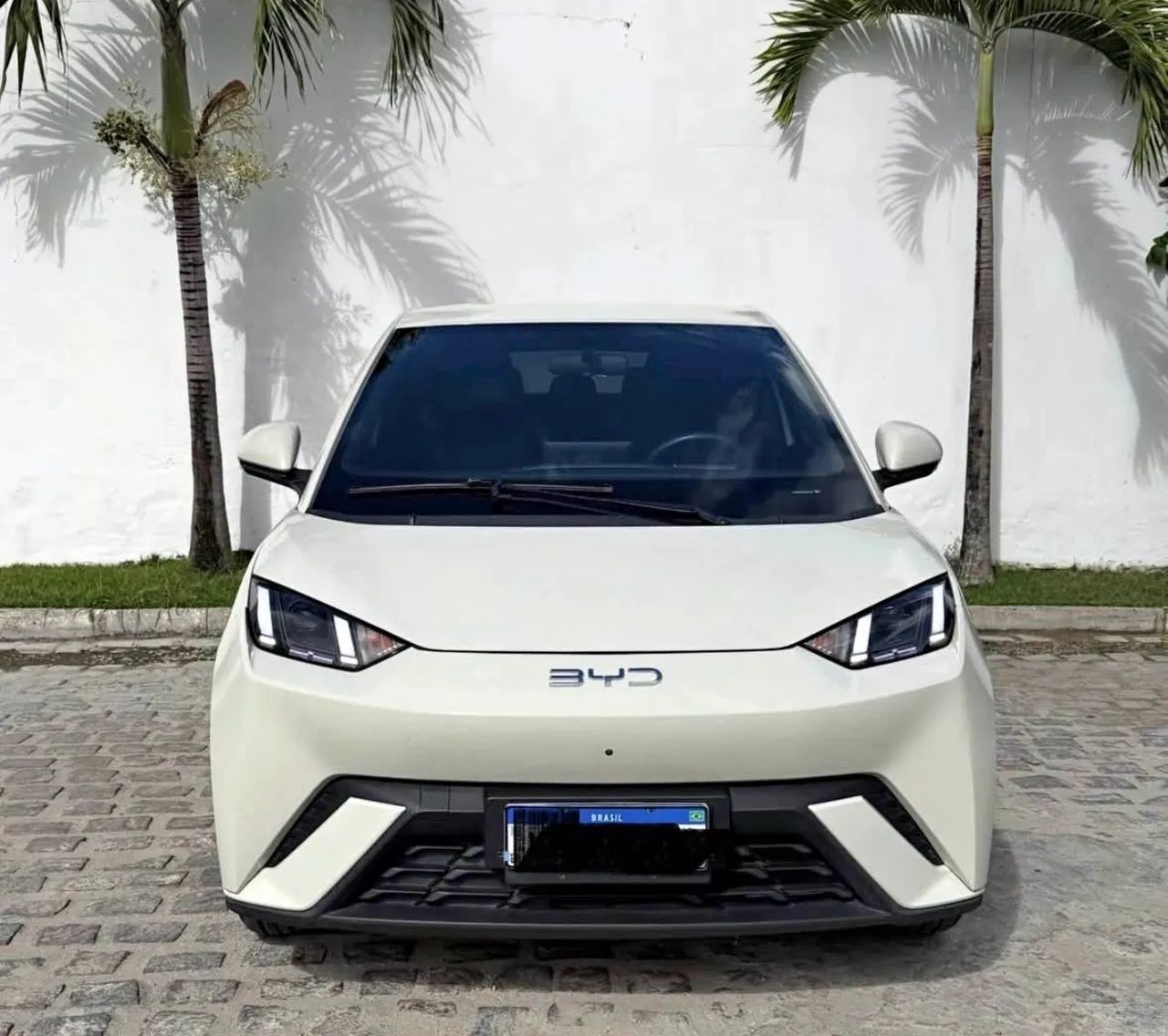 BYD Dolphin Mini (Elétrico) 2025