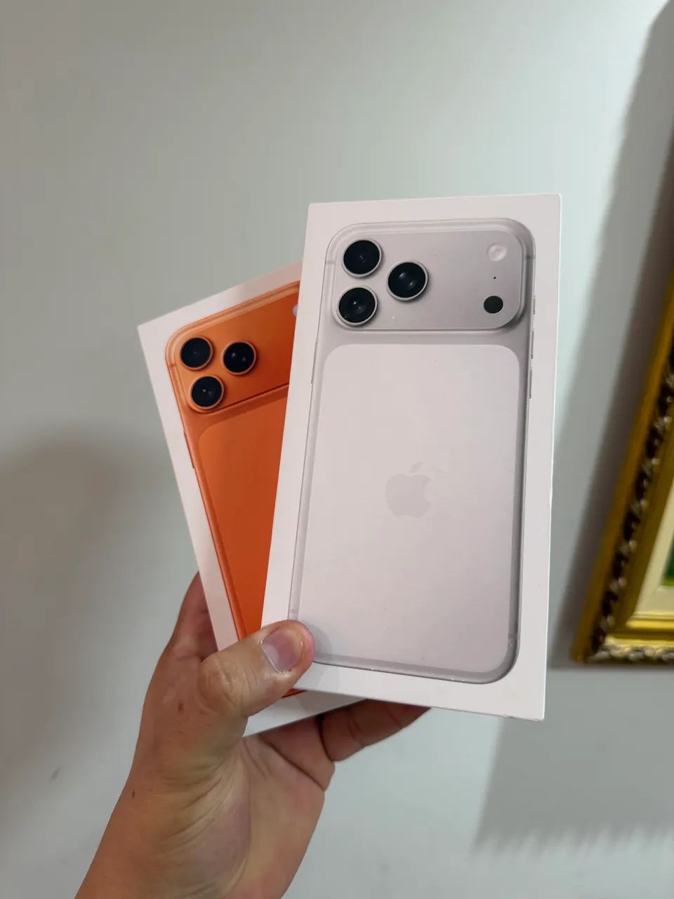 iPhone 17 pro Silver / 256g / Novo